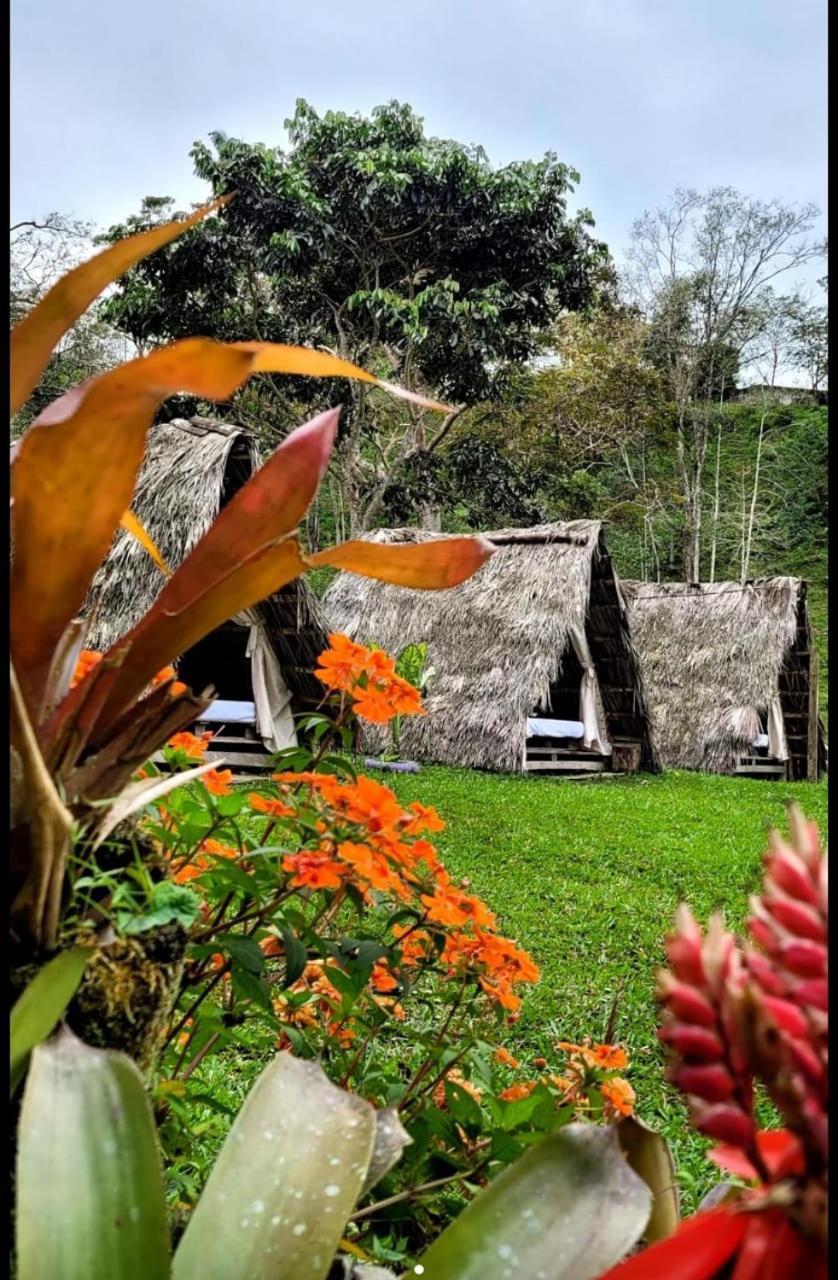 Rancho Porvenir Bed and Breakfast Mocoa Eksteriør billede